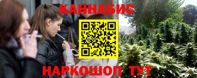 соль ск Можга