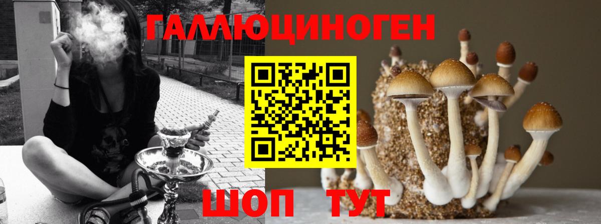 магазин продажи наркотиков  Вход с VPN  Вичуга  Псилоцибиновые грибы MAGIC MUSHROOMS 