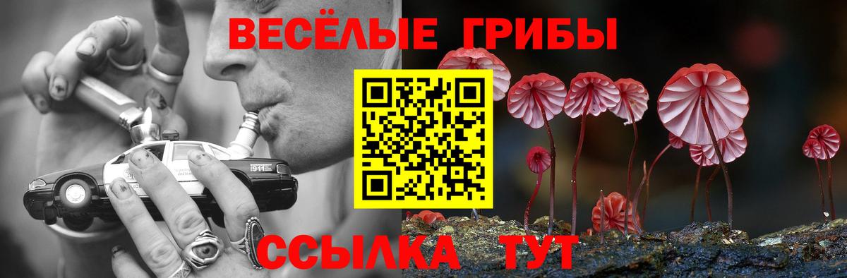 Псилоцибиновые грибы Cubensis Вичуга